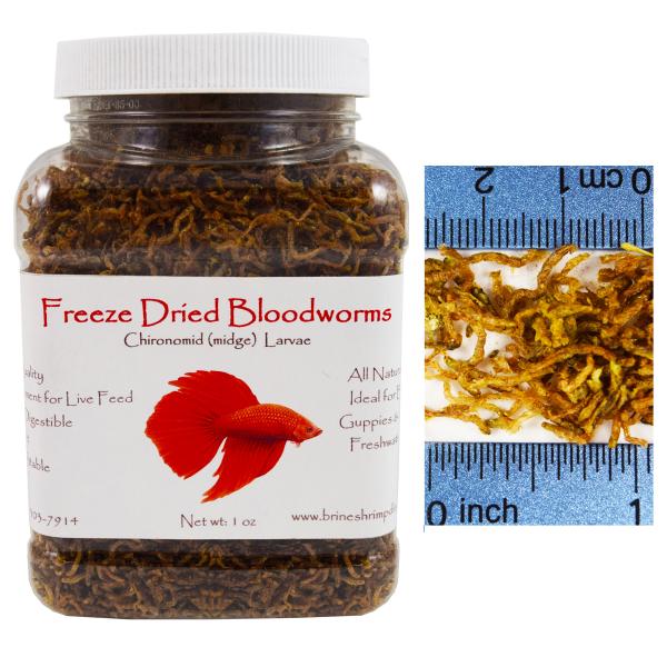 blood worms freeze dried