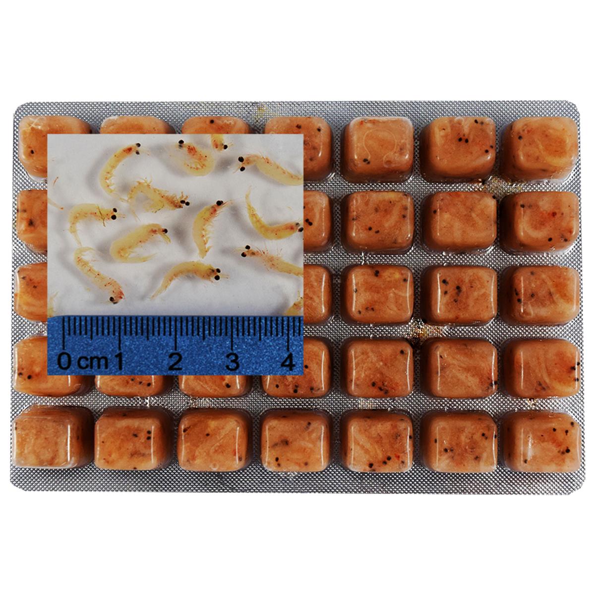 Frozen Krill Pacifica cube trays, 7 x 3.5 oz. cube trays, 1 box