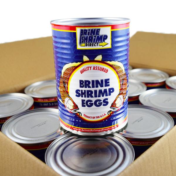 INVE Brine Shrimp Eggs - EG STANDARD