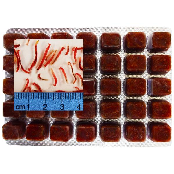 Gamma Frozen Food Mini Bloodworm Blister Pack, 570 GM, 6pk